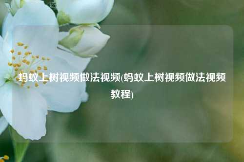 蚂蚁上树视频做法视频(蚂蚁上树视频做法视频教程)