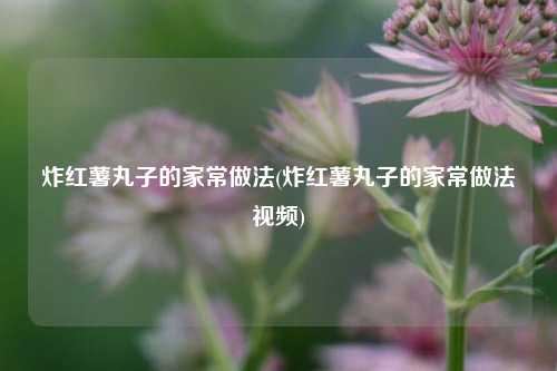 炸红薯丸子的家常做法(炸红薯丸子的家常做法视频)