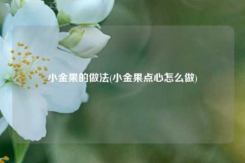 小金果的做法(小金果点心怎么做)