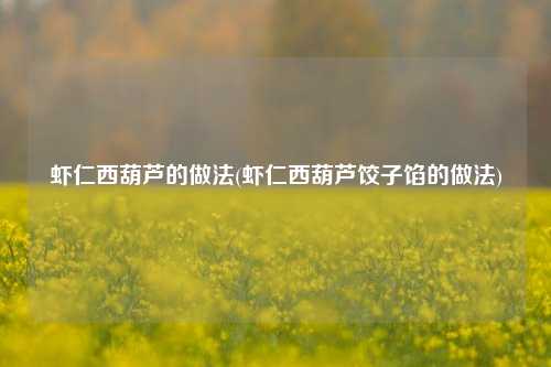 虾仁西葫芦的做法(虾仁西葫芦饺子馅的做法)