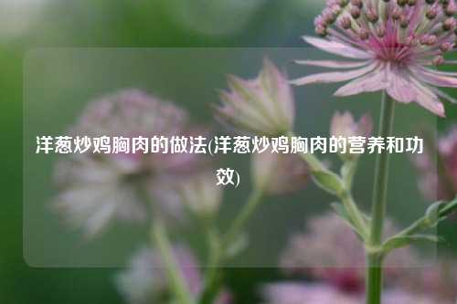洋葱炒鸡胸肉的做法(洋葱炒鸡胸肉的营养和功效)