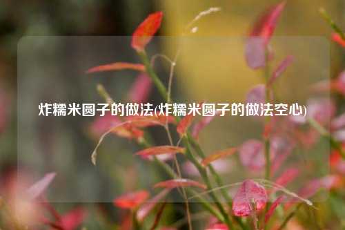 炸糯米圆子的做法(炸糯米圆子的做法空心)