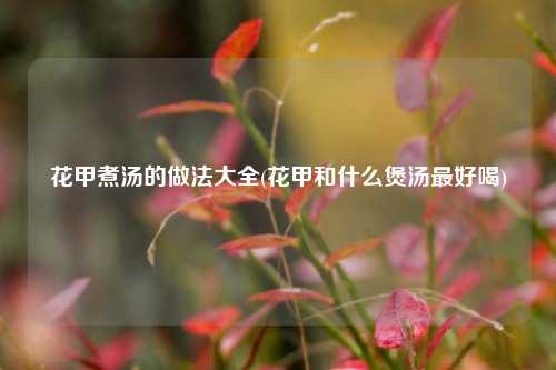 花甲煮汤的做法大全(花甲和什么煲汤最好喝)
