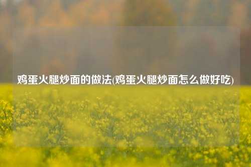 鸡蛋火腿炒面的做法(鸡蛋火腿炒面怎么做好吃)