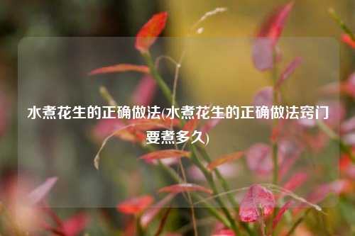 水煮花生的正确做法(水煮花生的正确做法窍门要煮多久)