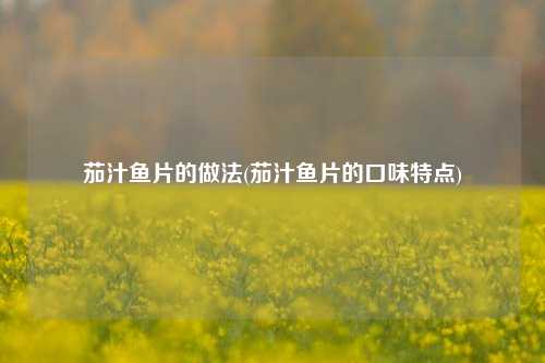 茄汁鱼片的做法(茄汁鱼片的口味特点)