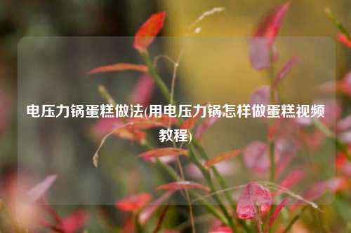 电压力锅蛋糕做法(用电压力锅怎样做蛋糕视频教程)