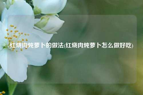 红烧肉炖萝卜的做法(红烧肉炖萝卜怎么做好吃)