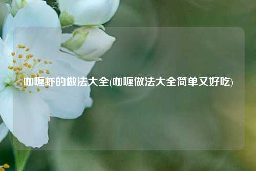咖喱虾的做法大全(咖喱做法大全简单又好吃)