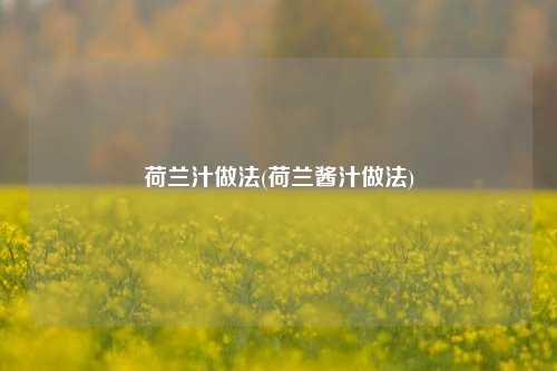 荷兰汁做法(荷兰酱汁做法)