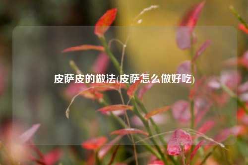 皮萨皮的做法(皮萨怎么做好吃)