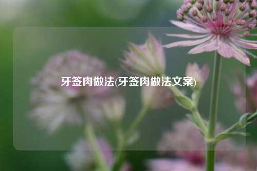 牙签肉做法(牙签肉做法文案)