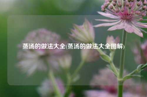 蒸汤的做法大全(蒸汤的做法大全图解)